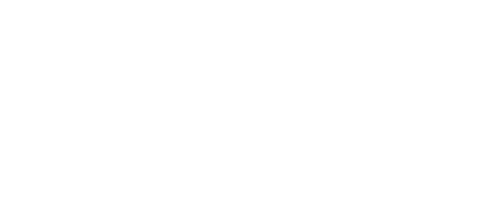starter